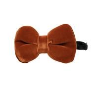 David WeJ Velvet Pretied Bow Tie - Brown