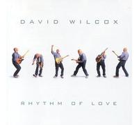 David Wilcox - Rhythm of Love