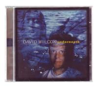 David Wilcox - Underneath