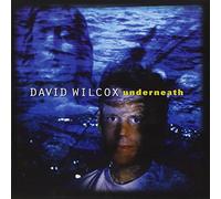 David Wilcox - Underneath