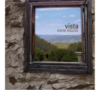 David Wilcox - Vista