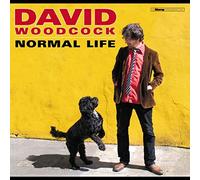David Woodcock - Normal Life [VINYL]