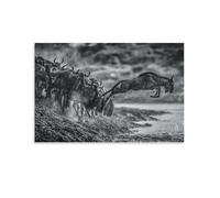 David Yarrow-Be The Leader -wildlife Black And White Art Poster Posters Wall Art Painting Canvas Prints Decor Poster Artworks 08x