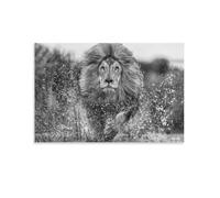 David Yarrow-lion Image (9)-wildlife Black And White Art Poster Picture Print Canvas Poster Wall Paint Art Posters Decor Modern Ho