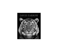 David Yarrow Photography