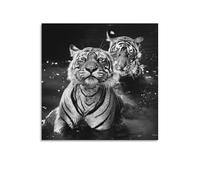 David Yarrow-Royal Bengal Tigers-wildlife Black And White Art Poster Canvas Wall Art Prints Poster Photo Picture Painting Posters