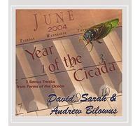 David - Year of the Cicada