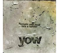 David Yow - Tonight You Look Like A Spider [DVD AUDIO]