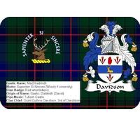 Davidson Scottish Clan Scotland Rectangle Fridge Magnet Fantastic Souvenir