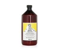 Davines Natural Tech Purifying Shampoo For Scalp With Oily Or Dry Dandruff 1000ml
