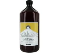Davines Natural Tech Purifying Shampoo (For Scalp with Oily or Dry Dandruff) 1000ml