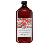Davines NaturalTech Energizing Shampoo energizing shampoo 1 l