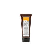 Davines NaturalTech Nourishing Vegetarian Miracle Mask nourishing mask for dry and unruly hair 60 ml