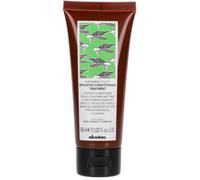 Davines NaturalTech Renewing Conditioner anti-aging hair conditioner 60 ml