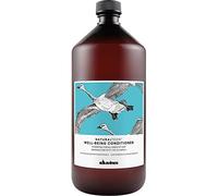 Davines NaturalTech Well Being Conditioner moisture conditioner 1l