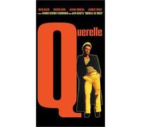 Davis - Querelle [VHS]