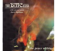 Davy Spillane & Bmc Band - Peace Within