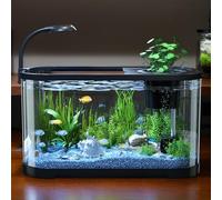 DAWCBVJQ Aquarium Starter Kits, 30x20x19cm Small Betta Fish Tank With LED Light, Betta Fish Tanks Full Set Up, Desktop Fishes Tank Kit, Small Clear Desktop Aquarium For Living Room Office Decoration