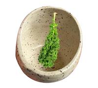 DAWCBVJQ Pottery Herb Stripper Bowl, Herb Leaf Stripper With 4 Holes, Ceramic Herbs Strippers Bowl, Strippers Cup, Handmade Herbs Strip Tool, Quickly Removes Leaves From Stems For Peeling Off The Leaf