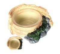 DAWCBVJQ Reptile Dish,Transparent Bowl Feeding Stand - Unique - Aquarium Decoration Feeder Tray for Reptiles Lizards Snakes Hamsters Leopard Gecko