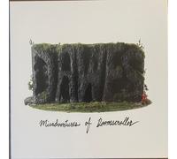 Misadventures Of Doomscroller [VINYL]