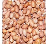 Dawn Chorus Premium Peanuts For Wild Birds (25 kg)