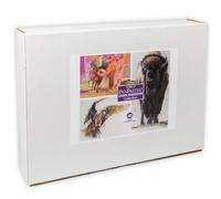Dawn Emerson Collection Set by PanPastel 40 Color 2 Palette Trays