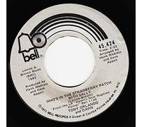 DAWN featuring TONY ORLANDO - DAWN featuring TONY ORLANDO - WHO'S IN THE STRAWBERRY PATCH WITH SALLY - 7 inch vinyl / 45