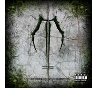 Dawn Of Ashes - Infecting The Scars