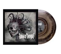 Dawn Of Demise - Hate Takes Its Form (Black/Gold Vinyl) [VINYL]