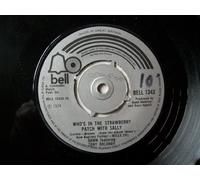 DAWN/ORLANDO Whos in the Strawberry Patch With Sally 7"