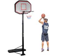 DAWOO Height Adjustable Basketball Hoop 200-305cm Professional Outdoor Basketball Net Stand Set System with 43 Inch Backboard & 2 Wheels Basketball Goals for Adults and Children