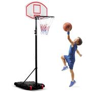 DAWOO Portable Basketball Hoop System Adjustable Height 179-209cm on Wheels, 28 Inch Backboard, Basketball Goals Indoor/Outdoor