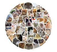 DAWRIS Cute Cat Stickers, 50 Pcs Funny Cat Stickers, Cat Meme Stickers, Cat Decals Emo Stickers for Suitcase Water Bottle Phone Case Laptop Computer Skateboard