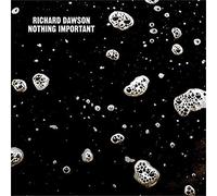 Richard Dawson Nothing Important [LP] Vinyl - New