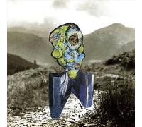 Richard Dawson The Glass Trunk (Vinyl) 12" Album
