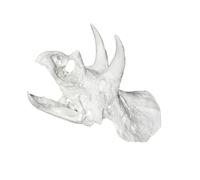 Dawutocap Dinosaur Bone Marinepark Decoration with Green/PETG Shelter for Shrimp Fish and Small Herpeton Animals Herpeton Shelter Cave for Serpents