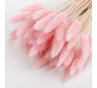 DAXXIN 50pcs Colorful Pastoral Rabbit Tail Grass Bunny Tails Dried Flowers Artificial Plant Bouquet Plant Stem Material Home Decortaion