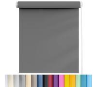 Day And Night Blinds 80 x 60 cm Thermal Insulated,UV Protection Window Roller Shades Blind Easy Fit Roller Blinds for Living Room,Bathroom, Dark Grey