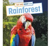 Day and Night in the Rainforest