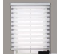 Day and Night Roller Blind, Dual Layer Zebra Shades, Horizontal Window Curtain, Translucent or Blackout Vision Curtains with Aluminium Cassette for Windows and Doors