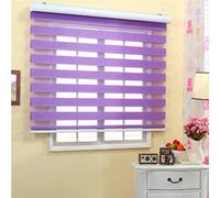 Day and Night Roller Blind,Purple Dual Layer Shades Zebra Blinds Horizontal Window Curtain,Translucent or Blackout Vision Curtains for Window and Door with Aluminium Cassette (W60xH120cm/24x47in)
