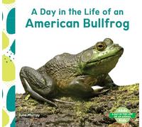 Day in the Life of an American Bullfrog (Day in the Life of an Animal)