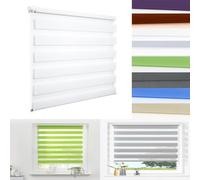 Day Night Zebra Roller Blind 65 x 150 cm UV Protection Roller Blind with Translucent and Blackout Easy to Use with Install Accessories for Home Office Window, White
