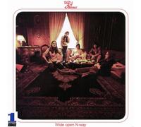 Day of Phoenix - Wide Open N-Way