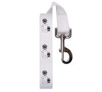 'Day Of The Dead Girl' Dog Lead/Leash (DL00011880)