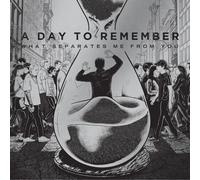 A Day To Remember - What Separates Me From You [VINYL]