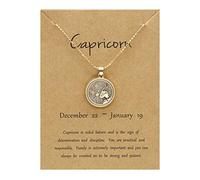 Day Twelve Constellation Night Chain Necklace Necklace Couple Sweater And Necklaces Pendants (E, One Size)