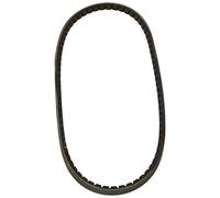 Dayco 10A0800C Drive Belt