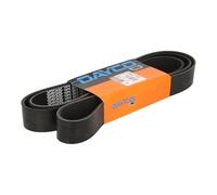 Dayco 10pk2017hd Belt Grooved HD